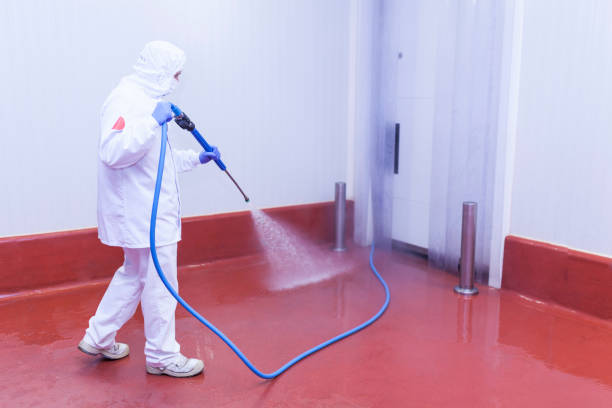 Best Solar Panel Cleaning  in Sturgeon, PA
